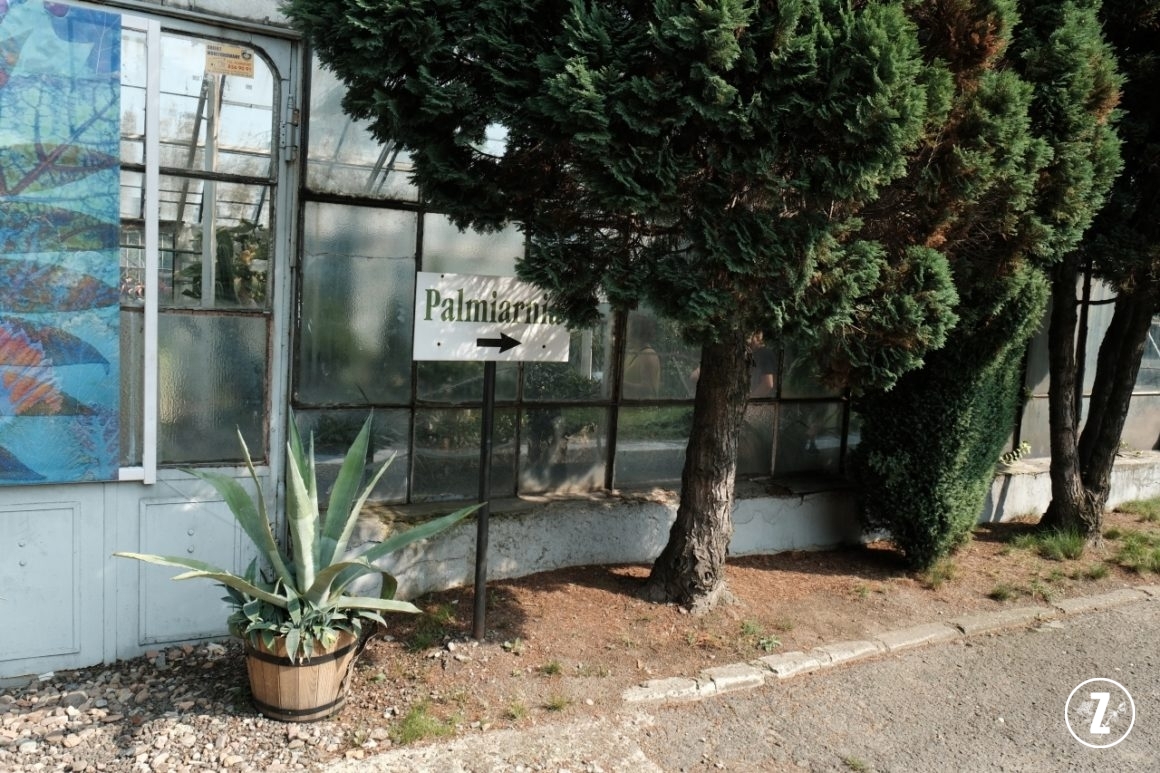 znak kierujący do Palmiarni Wałbrzyskiej, wejście do Palmiarni w Wałbrzychu