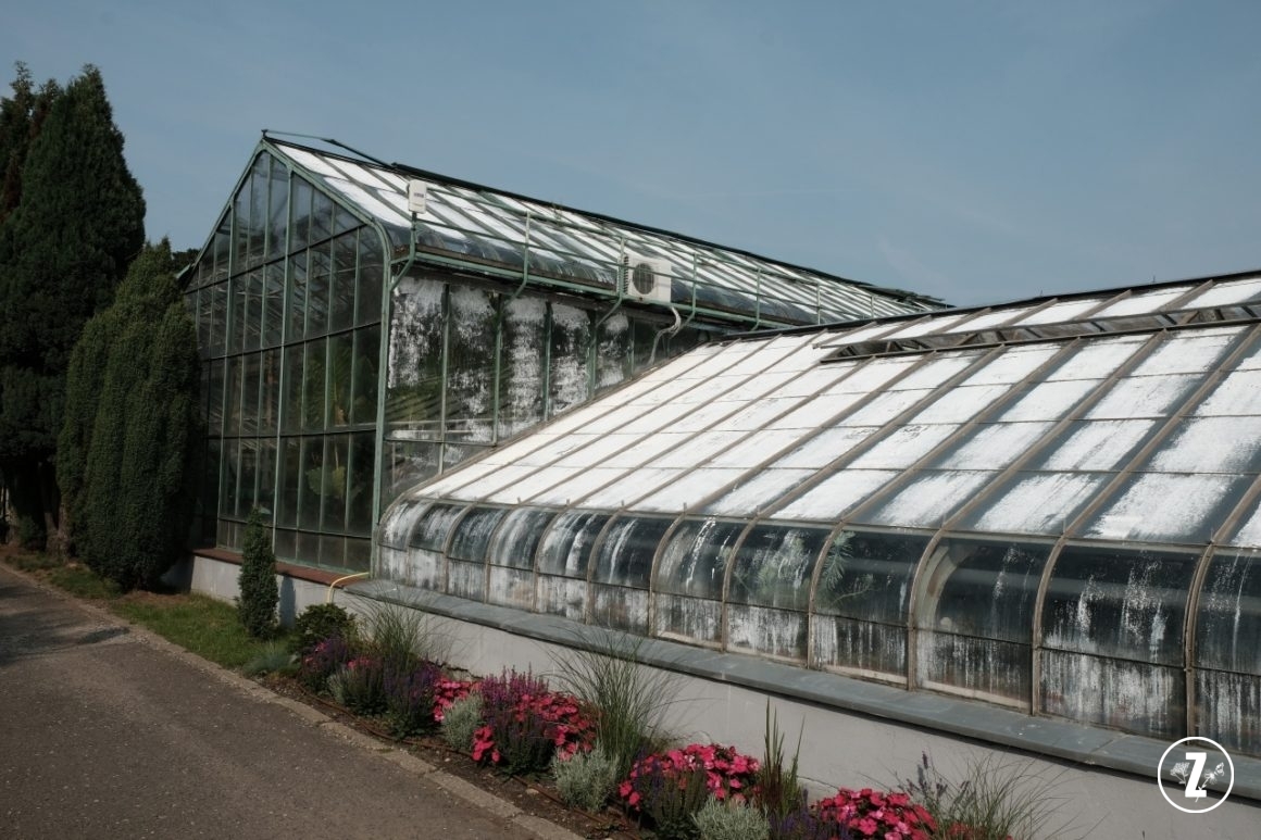 szklarnia w Palmiarni w Wałbrzychu, szklarnie w Palmiarni Wałbrzyskiej