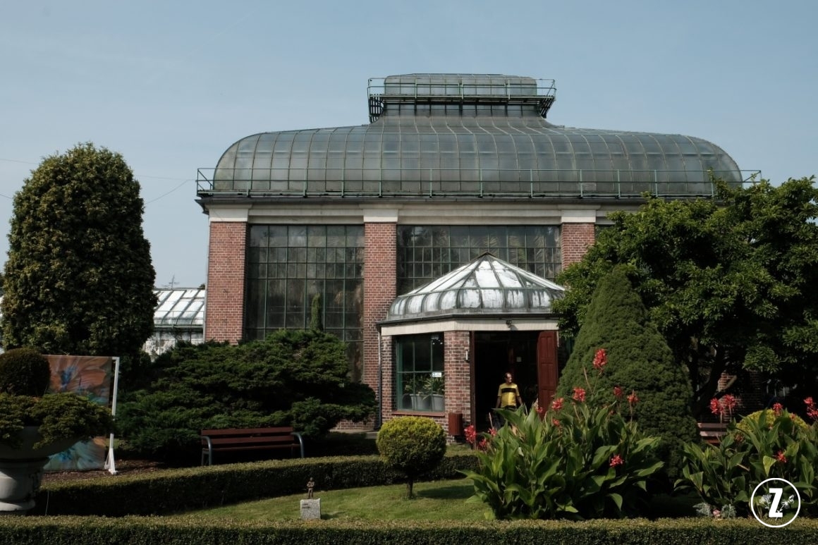 Palmiarnia w Wałbrzychu