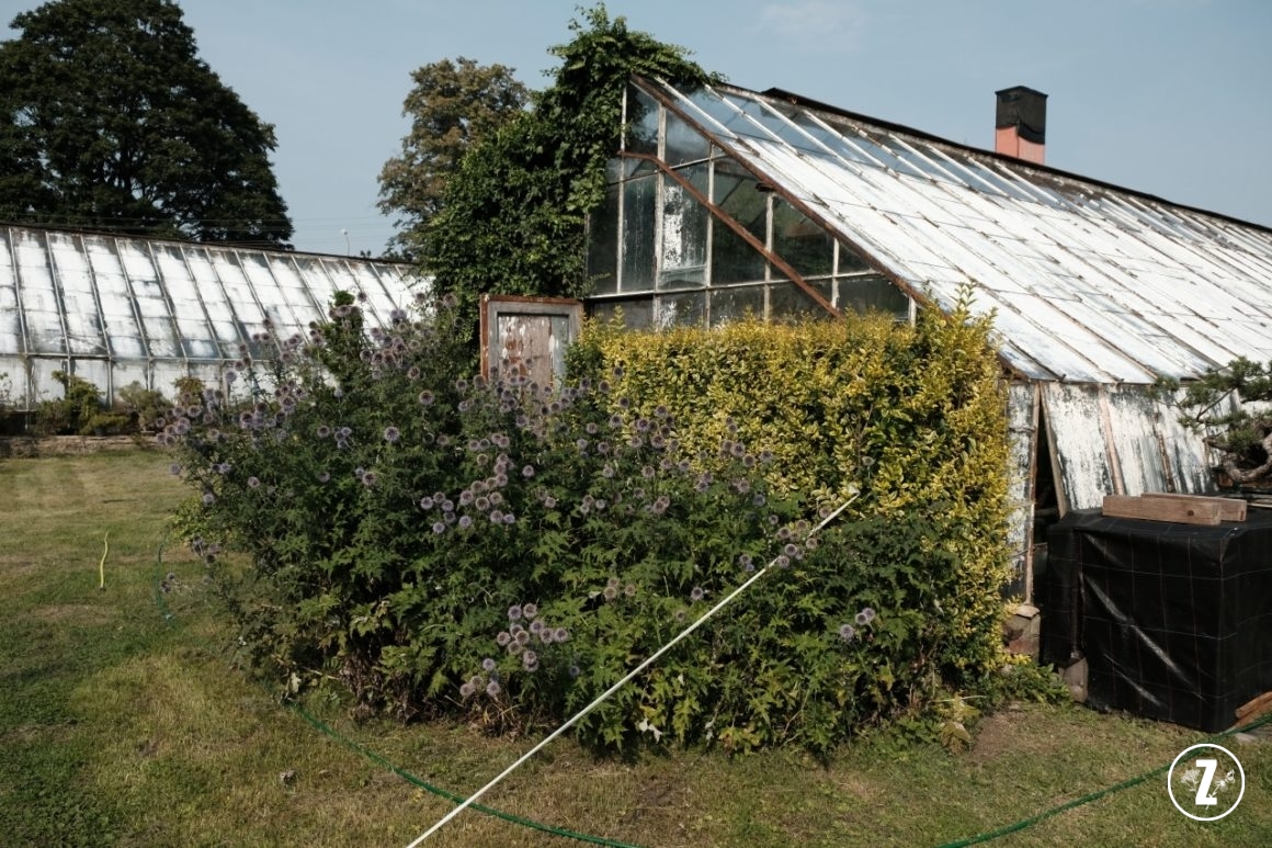 Palmiarnia w Wałbrzychu