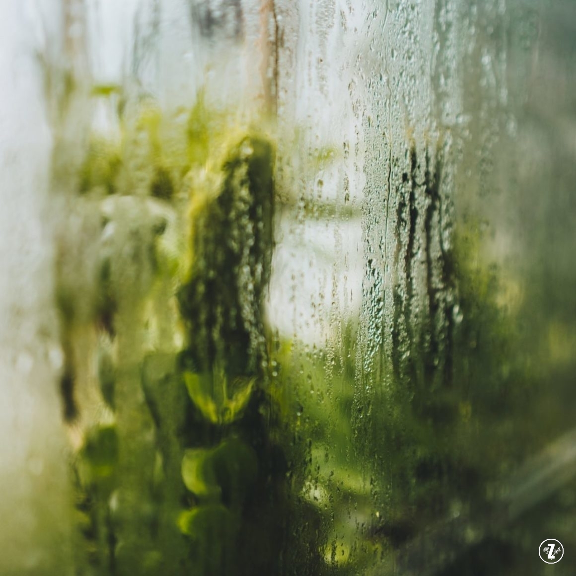 wilgotność powietrza